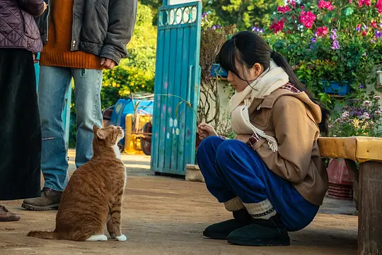 电影剧照