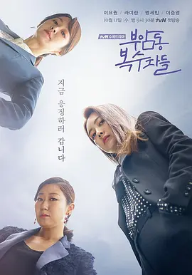 付岩洞复仇者们 부암동 복수자들