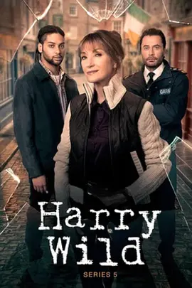 野探哈莉 第五季 Harry Wild Season 5