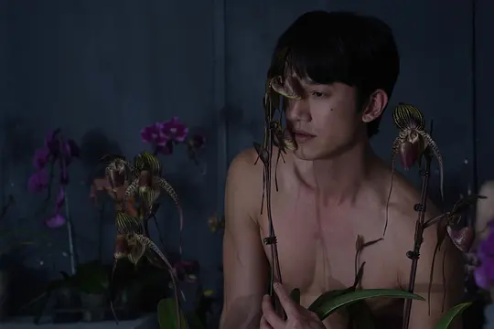 电影剧照