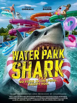 水上乐园狂鲨 Water Park Shark