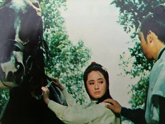 电影剧照